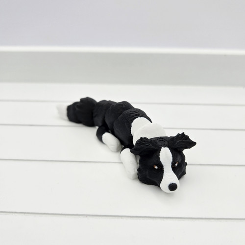 Printed border collie dog - 3d,
