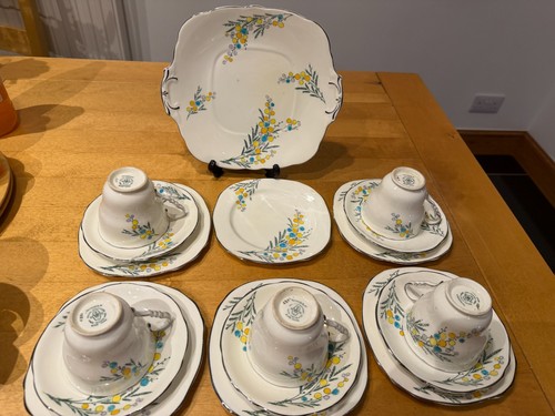 Royal stafford mimosa china - mimosa,