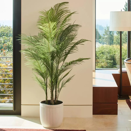 Artificial 5ft palm tree - 6.5ft,