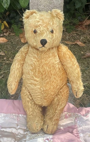 Large old 1950s 1960s steiff - 1950s,