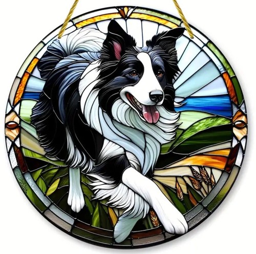 Border collie sheep - collie, dog