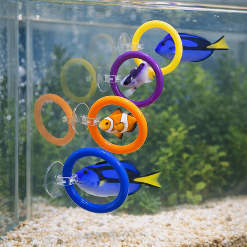 4pcs pet fish training toys - pet,