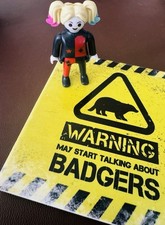 Harley Quinn Collectible Kinder Playmobil DC with pod and papers