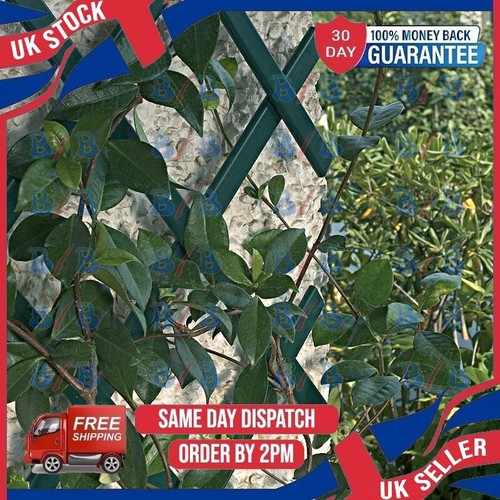 Plastic expanding garden fence - garden,
