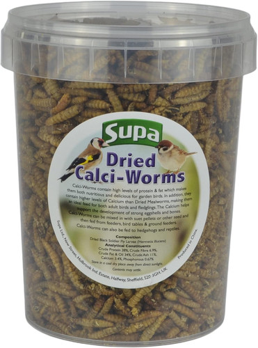 Dried calci worms for - worms, wild