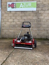 Toro Grensmaster 1600