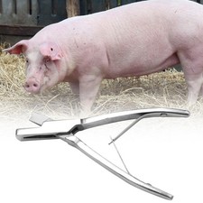 Stainless Steel Ear Plier Pig