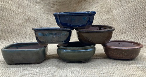 Set bonsai pot aprox - 6,