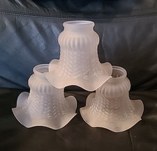 Vintage Frosted Ruffled Tulip