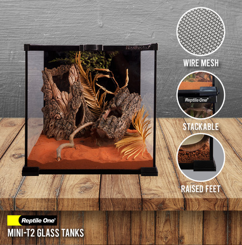 Reptile one mini terrarium - one, t2