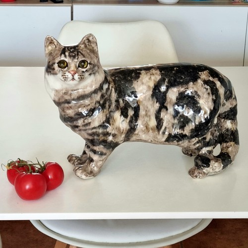 Winstanley tabby cat size - , 8