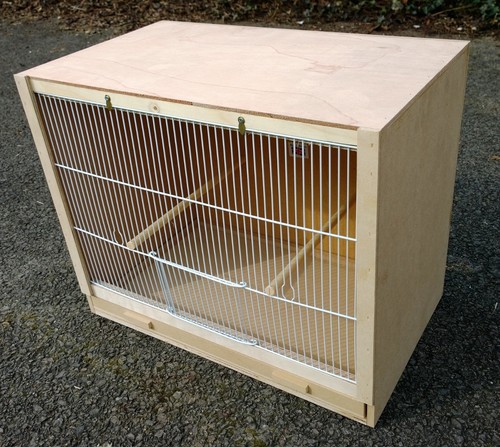 Single finch breeding - single,