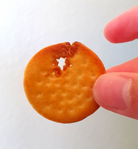 Rare unusual round cheese - round,