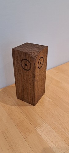 Handmade solid oak owl door