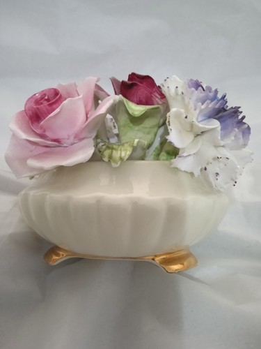Radnor bone china - bone,