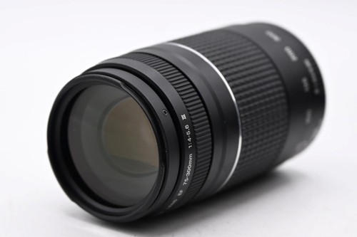 Canon 300mm iii - canon,
