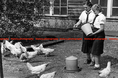 F017651 bdm girls feeding the - bdm,