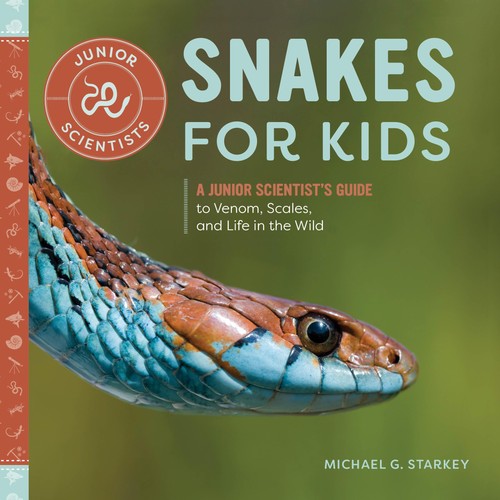 Snakes for kids - snakes, junior