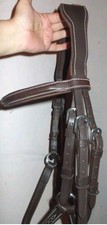 New Voltaire Grackle Bridle
