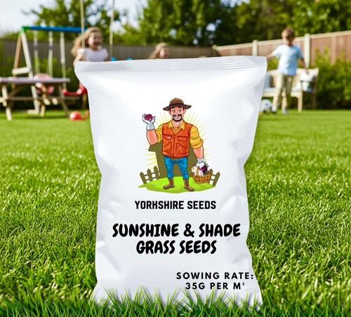 Grass seed for shaded lawns - seed,