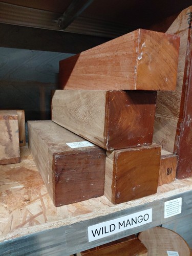 Wild mango spindle wood blank - wild,