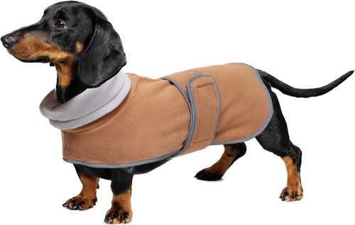 Geyecete dachshund coat - , with