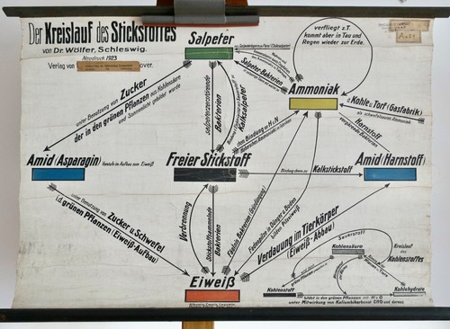 Vintage school wall map - school,