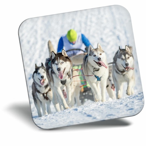 Awesome fridge magnet husky - fridge,