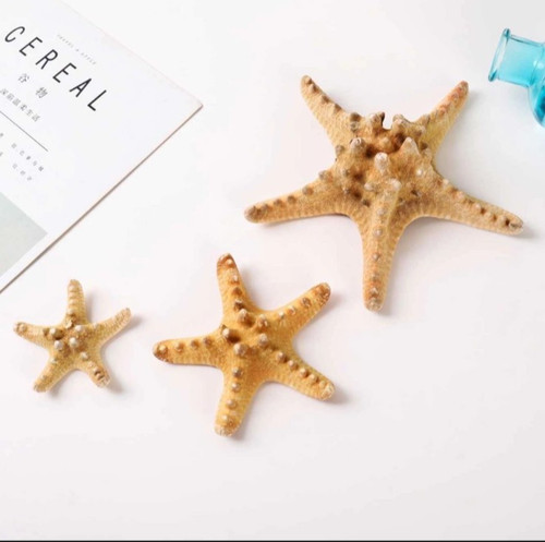 Natural starfish 50mm 70mm - , 50mm-70mm