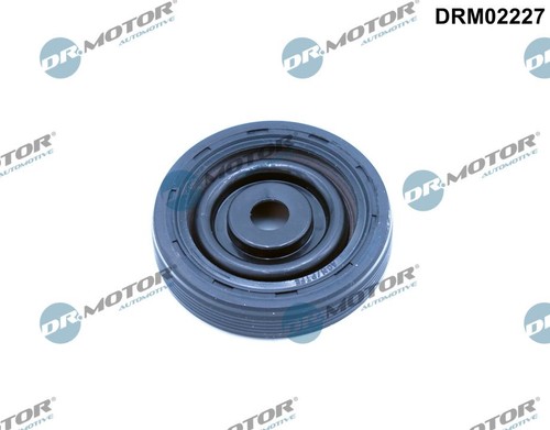 Shaft seal camshaft - shaft,