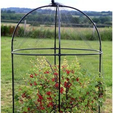 Haxnicks Steel Round Fruit Cage W100cm x H150cm