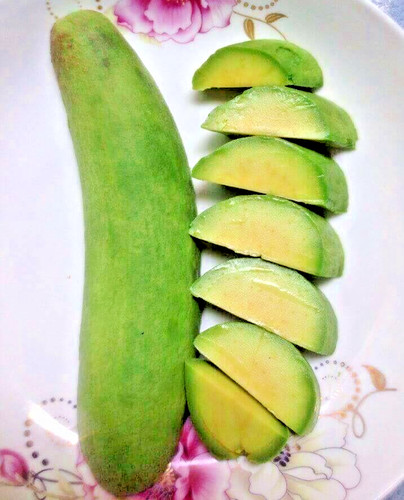 Seedless avocado grafted tree - avocado,
