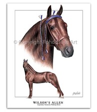 TENNESSEE WALKER walking HORSE ART - WILSON'S ALLEN famous TWH stallion painting