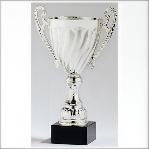 Large silver metal cup award - metal,