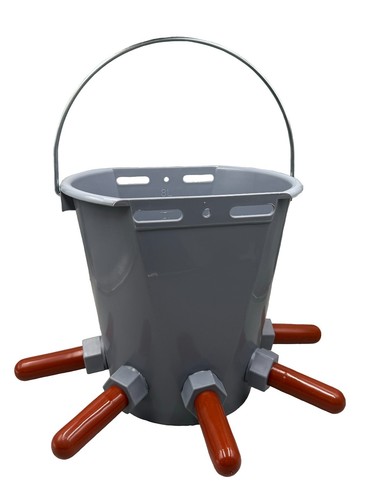 Calf milk feeding bucket - feeding, with