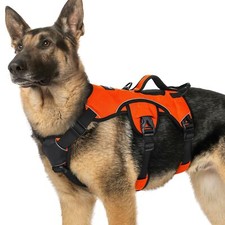 rabbitgoo Dog Harness Padded