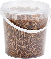 Dried Mealworms Wild Bird