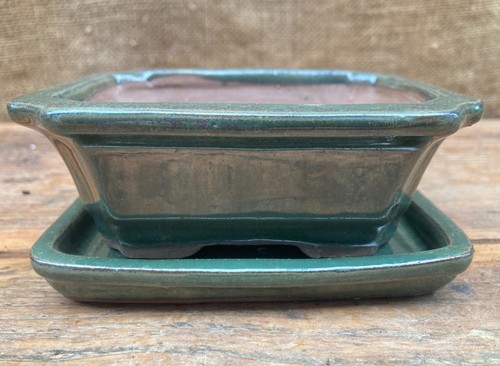 Small ceramic bonsai - small, with