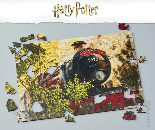 Hogwarts express 250 piece - hogwarts,