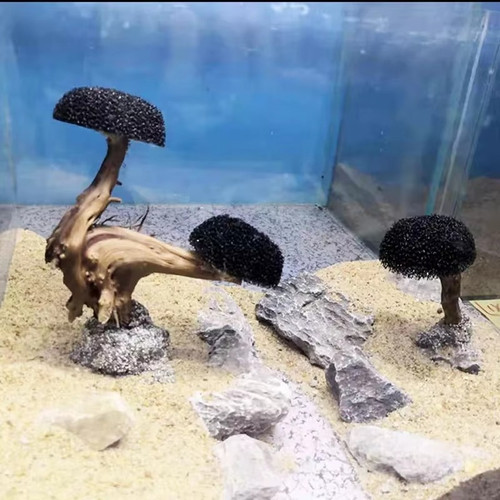 Fish tank plant moss - fish,