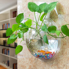 Acrylic Wall Mounted Hanging