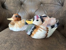 Authentic Vintage Feathered