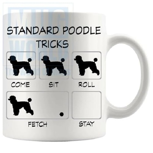 Standard poodle tricks - poodle,
