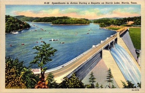 Postcard speedboats action - postcard,