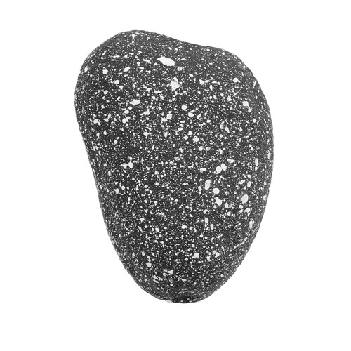Cichlid stone breeding - cichlid,