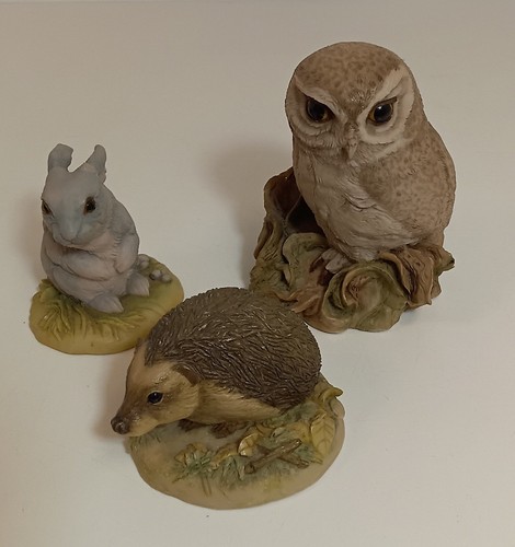 Teviotdale edlmann owl - teviotdale,