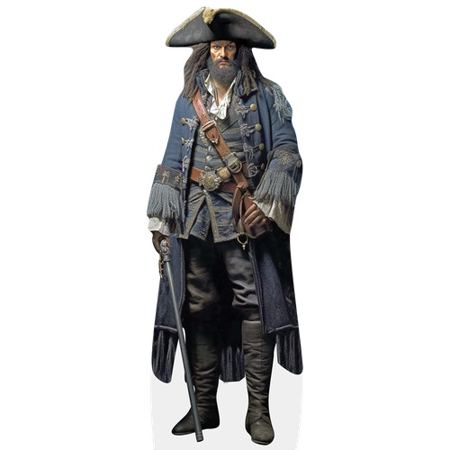 Pirate life size - pirate,