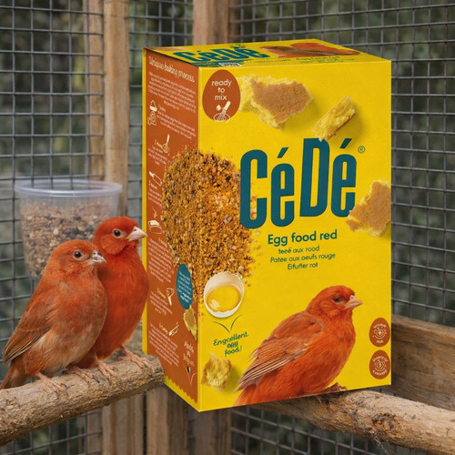 Cede red canary egg food - red,