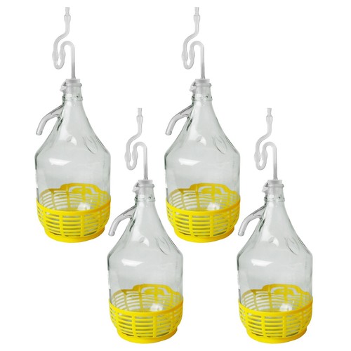Pack glass demijohns - of,