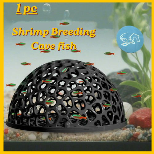 Shrimp breeding cave fish - fish, tank